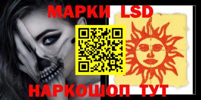 шишки Заволжье