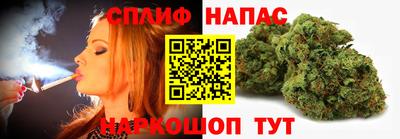 шишки Заволжье