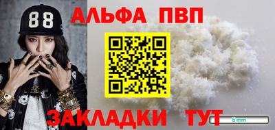 шишки Заволжье