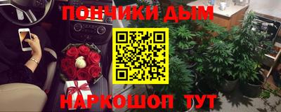 шишки Заволжье
