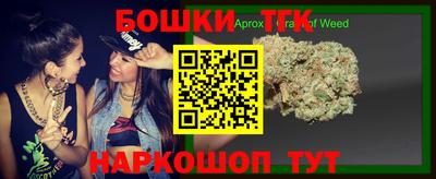 шишки Заволжье