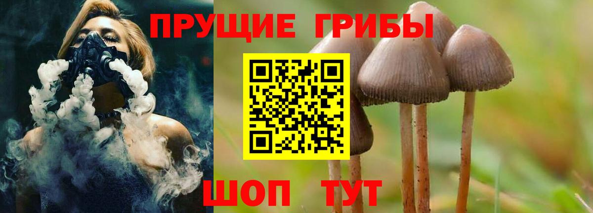 Людиново  Псилоцибиновые грибы Magic Shrooms  Вход с VPN 