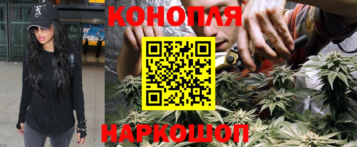 Шишки марихуана индика  Бошки марихуана планчик  Конопля THC 21%  Людиново  Вход с VPN 